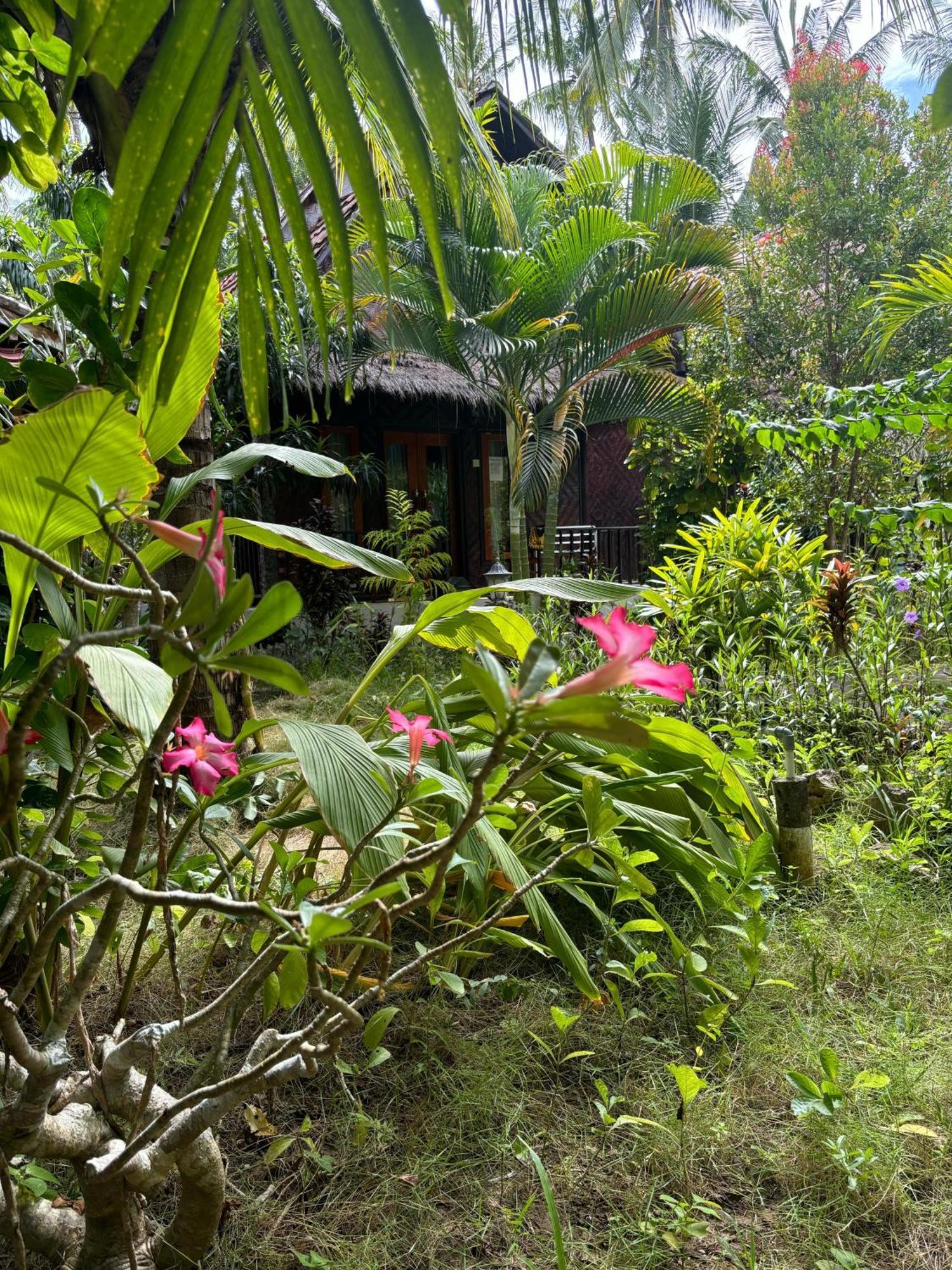 Kubu Artha Bungalow Nusa Penida Ped Kültér fotó